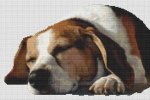 (image for) Dog Nap